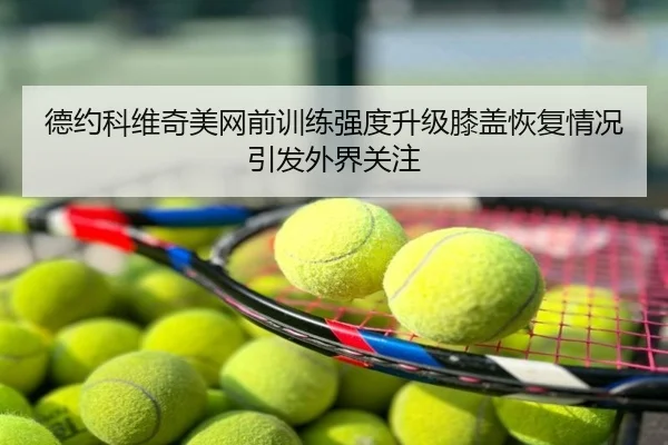 德约科维奇美网前训练强度升级膝盖恢复情况引发外界关注